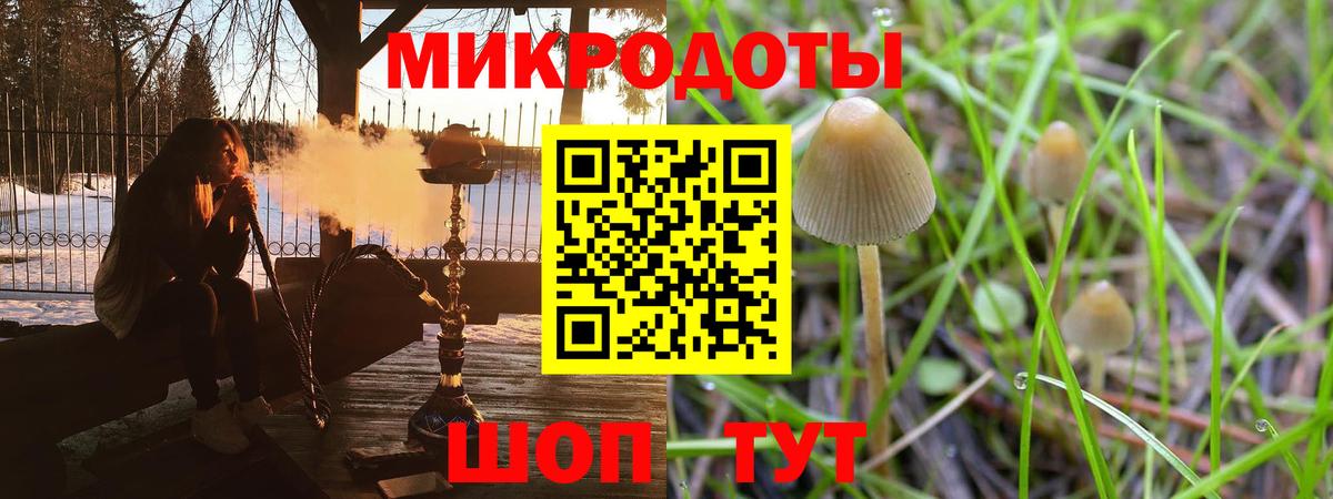 Псилоцибиновые грибы прущие грибы Благовещенск
